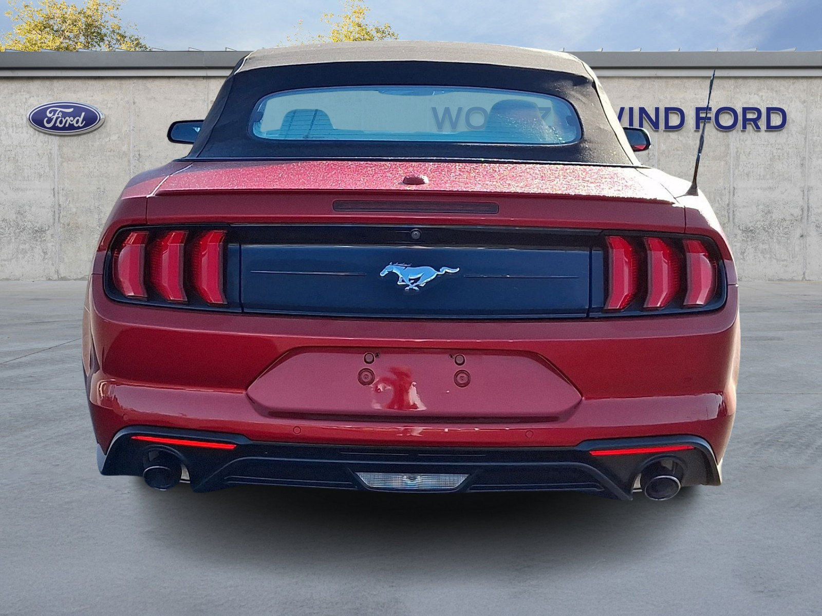 Used 2020 Ford Mustang Premium w/ Equipment Group 201A RWD image 5