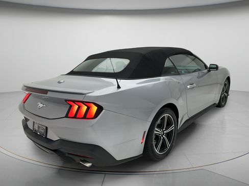 Used 2025 Ford Mustang Premium RWD image 5