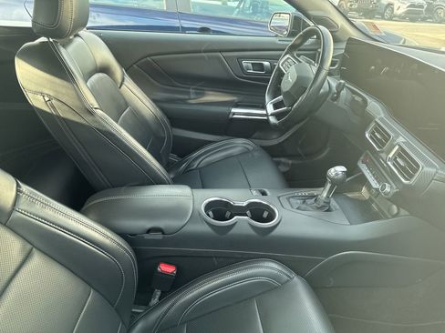Used 2025 Ford Mustang Premium w/ Mustang Nite Pony Package RWD image 6