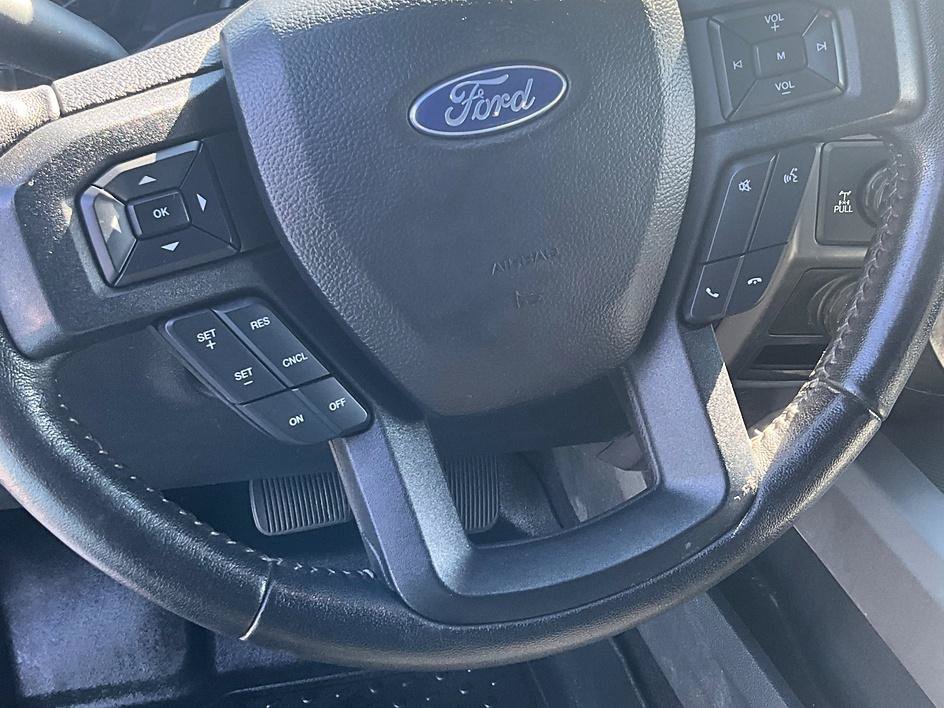 Used 2019 Ford F150 XLT w/ Equipment Group 302A Luxury AWD/4WD image 12