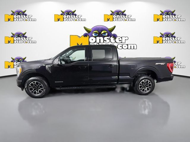 Used 2023 Ford F150 XLT w/ Equipment Group 302A High AWD/4WD image 8