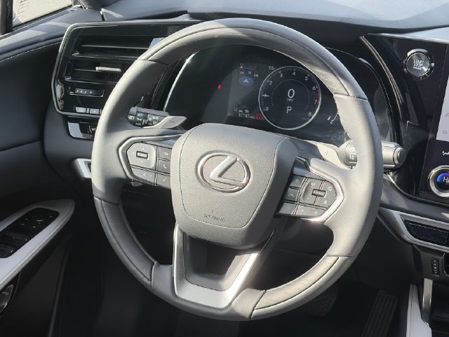 Used 2024 Lexus RX 350 Premium w/ Cold Area Package AWD/4WD image 15