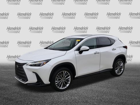 Used 2025 Lexus NX 350 AWD w/ Accessory Package (2T) image 5