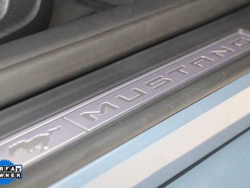 Used 2024 Ford Mustang GT Premium w/ Mustang Nite Pony Package image 14