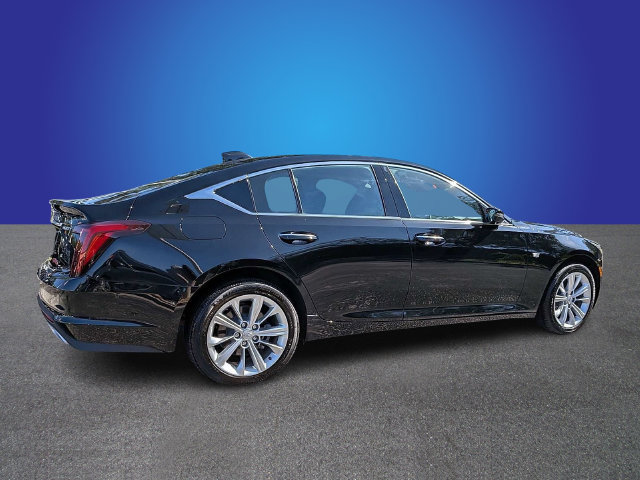 Used 2026 Cadillac CT5 Premium Luxury w/ Technology Package AWD/4WD image 5