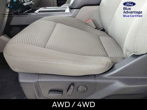 Used 2019 Ford F150 XLT w/ Equipment Group 302A Luxury image 14