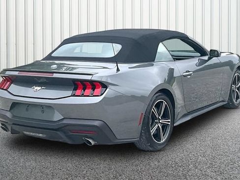 Used 2025 Ford Mustang Premium RWD image 12