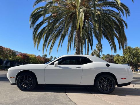 Used 2023 Dodge Challenger SXT w/ Blacktop Package image 3