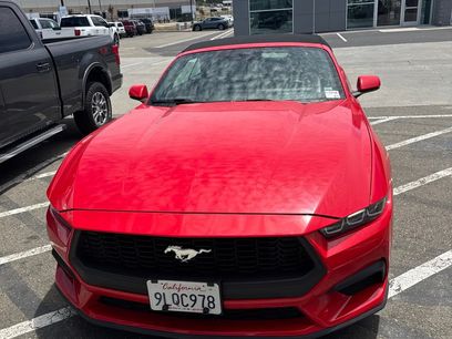 Used 2024 Ford Mustang Premium