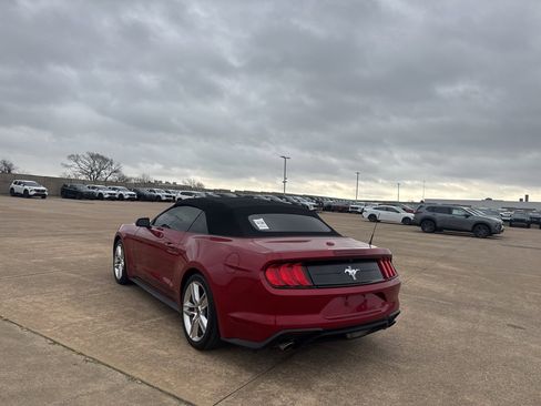 Used 2020 Ford Mustang Premium w/ Pony Package image 20