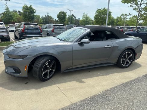 Used 2025 Ford Mustang Premium RWD image 4