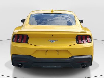 Used 2024 Ford Mustang Premium