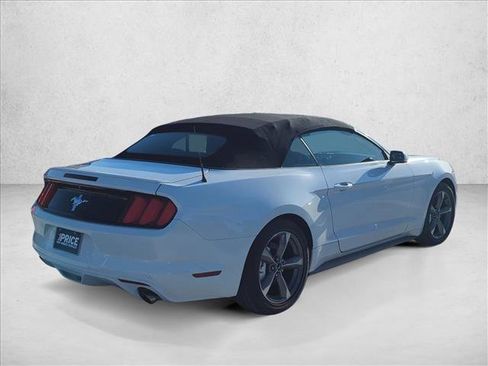 Used 2017 Ford Mustang Convertible w/ Equipment Group 051A image 5