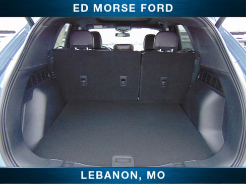 New 2025 Ford Escape ST-Line Elite w/ Premium Technology Package image 13