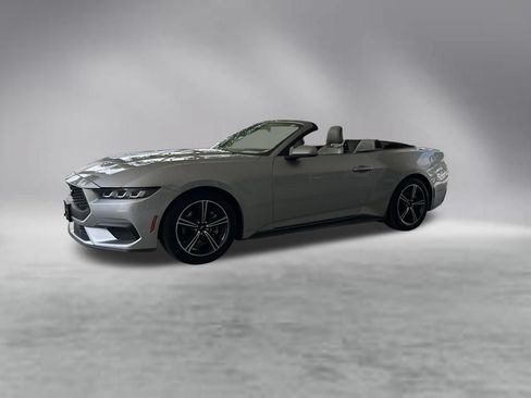Used 2024 Ford Mustang Premium RWD image 2