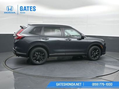 New 2026 Honda CR-V Sport