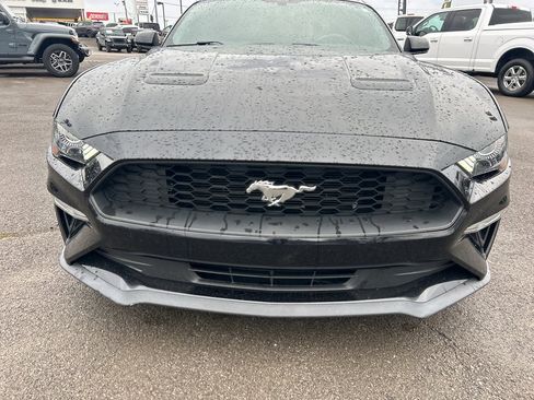 Used 2019 Ford Mustang Coupe w/ Ecoboost Performance Package image 2