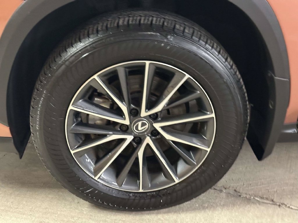 Used 2025 Lexus NX 250 AWD w/ Accessory Package (2T) image 10