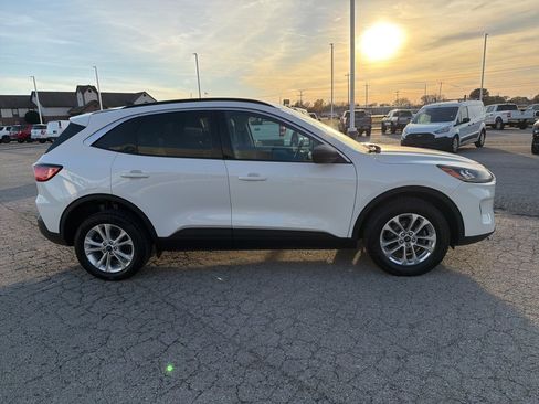 Used 2022 Ford Escape SE image 4