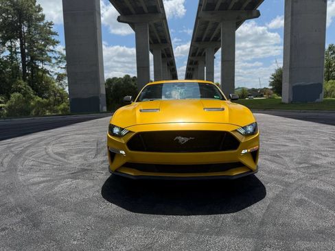 Used 2021 Ford Mustang GT w/ Equipment Group 301A image 6