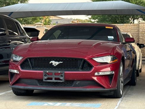 Used 2019 Ford Mustang GT Premium w/ Enhanced Security Package RWD image 1