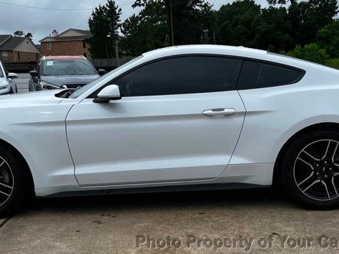 Used 2019 Ford Mustang Coupe w/ Equipment Group 101A RWD image 11