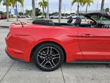 Used 2018 Ford Mustang Premium image 4