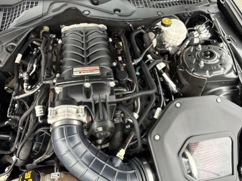 Used 2019 Ford Mustang GT Premium w/ Equipment Group 401A RWD image 48