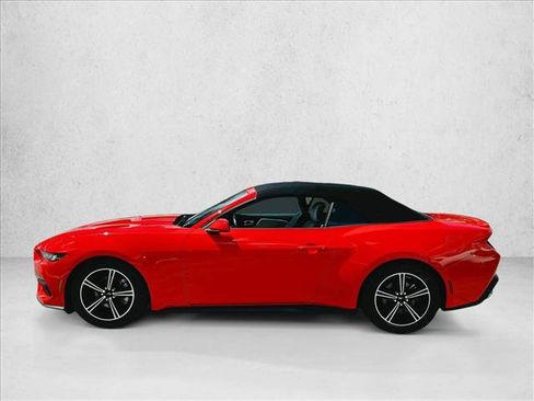 Used 2024 Ford Mustang Premium RWD image 8