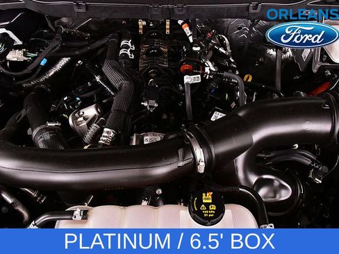 Used 2025 Ford F150 Platinum AWD/4WD image 35