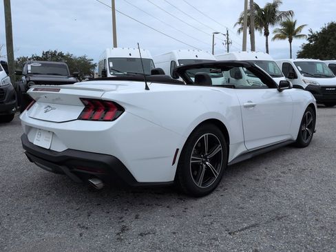 Used 2024 Ford Mustang Premium RWD image 5