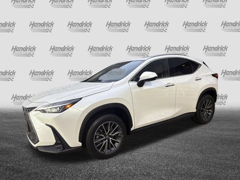 Used 2025 Lexus NX 350h AWD w/ Cold Area Package image 5