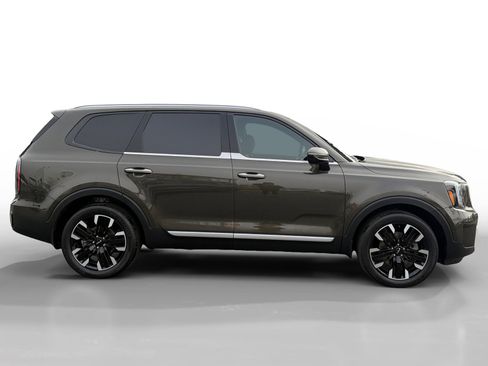 Certified 2024 Kia Telluride SX Prestige image 6