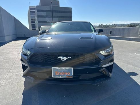 Used 2023 Ford Mustang Premium RWD image 2