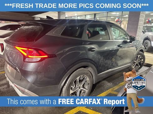 Certified 2025 Kia Sportage EX image 3