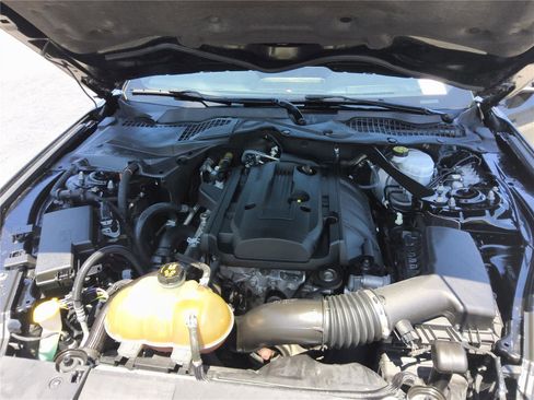 Used 2019 Ford Mustang Premium RWD image 13