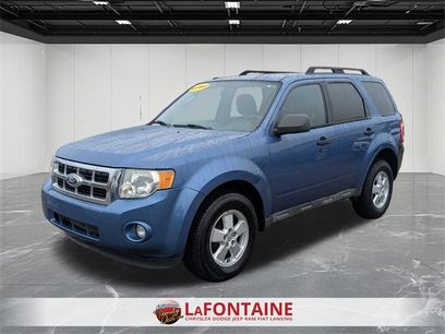 Used 2010 Ford Escape XLT