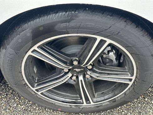 New 2025 Ford Mustang EcoBoost image 10