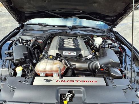 Used 2017 Ford Mustang GT Premium image 7