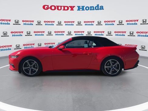 Used 2024 Ford Mustang Premium RWD image 5