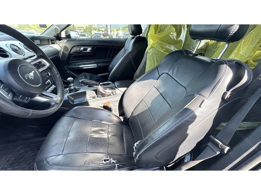 Used 2016 Ford Mustang Premium RWD image 13