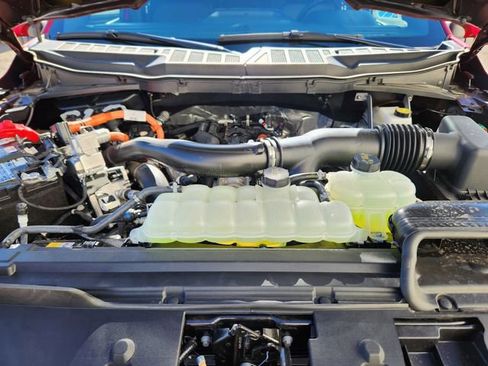 New 2025 Ford F150 XLT w/ Equipment Group 303A High image 20