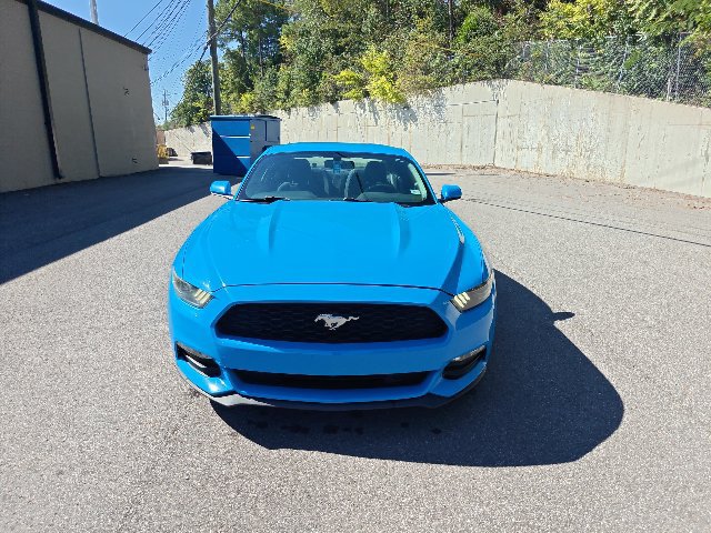 Used 2017 Ford Mustang Coupe RWD image 7