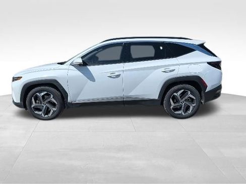 Used 2023 Hyundai Tucson Limited w/ Cargo Package FWD image 6
