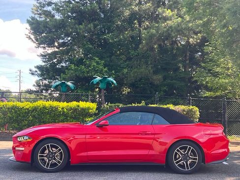 Used 2019 Ford Mustang Premium RWD image 2