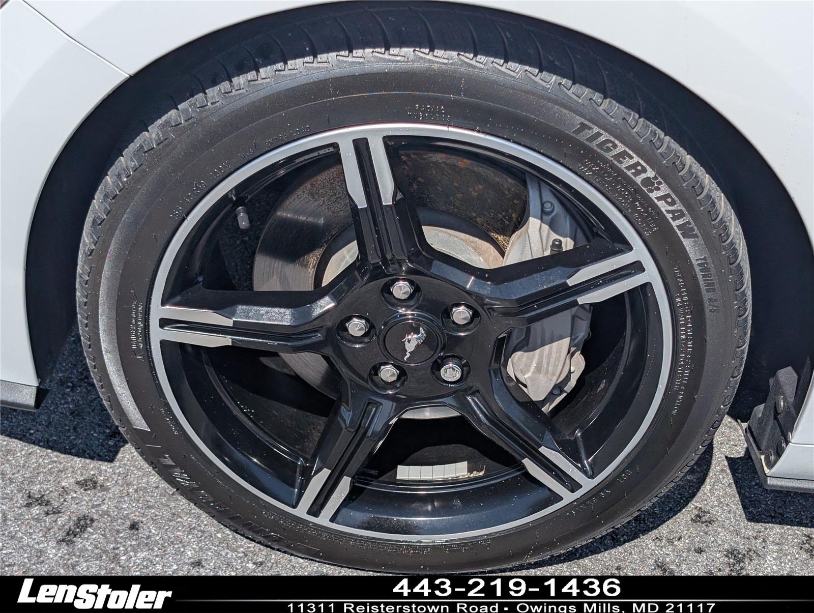 Used 2019 Ford Mustang GT Premium w/ Equipment Group 401A RWD image 12