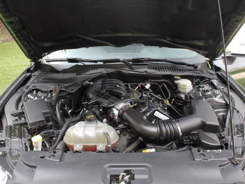 Used 2017 Ford Mustang Coupe RWD image 34