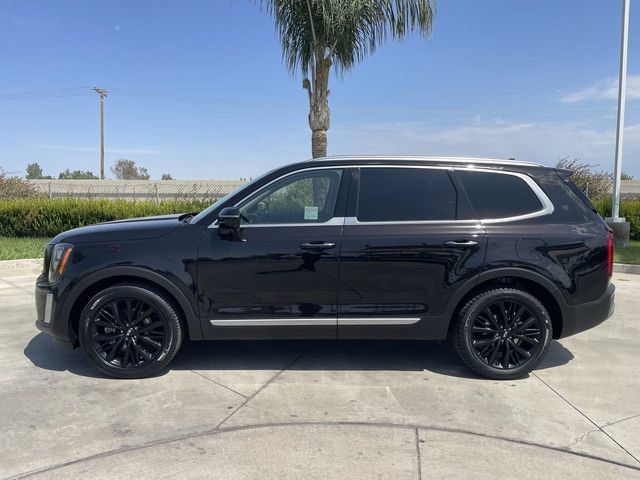 Used 2021 Kia Telluride SX FWD image 5