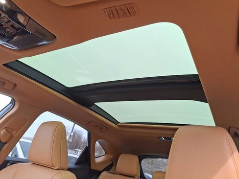 Used 2025 Lexus NX 450h+ Luxury image 12