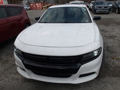 Used 2019 Dodge Charger SXT w/ Driver Confidence Group